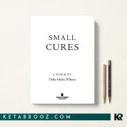 کتاب Small Cures اثر Della Hicks-Wilson زبان اصلی