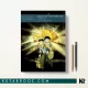 کتاب Grave of the Fireflies اثر Alex Dudok de Wit زبان اصلی