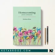 کتاب Homecoming اثر Stefanie Briar زبان اصلی