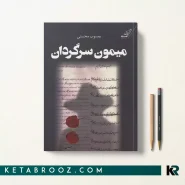 کتاب میمون سرگردان اثر یعسوب محسنی