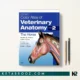 کتاب Color Atlas of Veterinary Anatomy Volume 2: The Horse اثر Raymond R. Ashdown زبان اصلی
