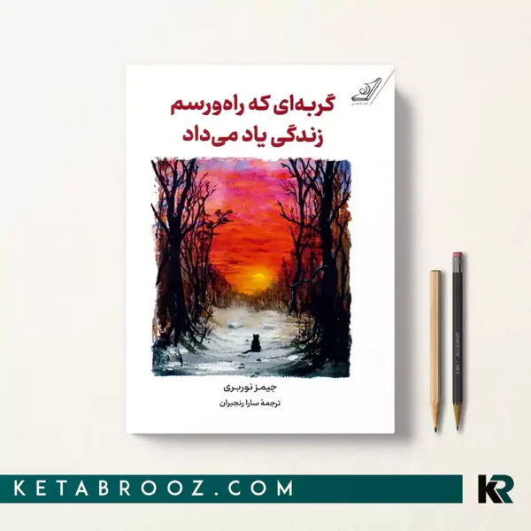 کتاب گربه ای که راه و رسم زندگی یاد می داد