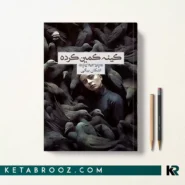 کتاب کینه کمین کرده اثر اشکان بیگی نشر داهی