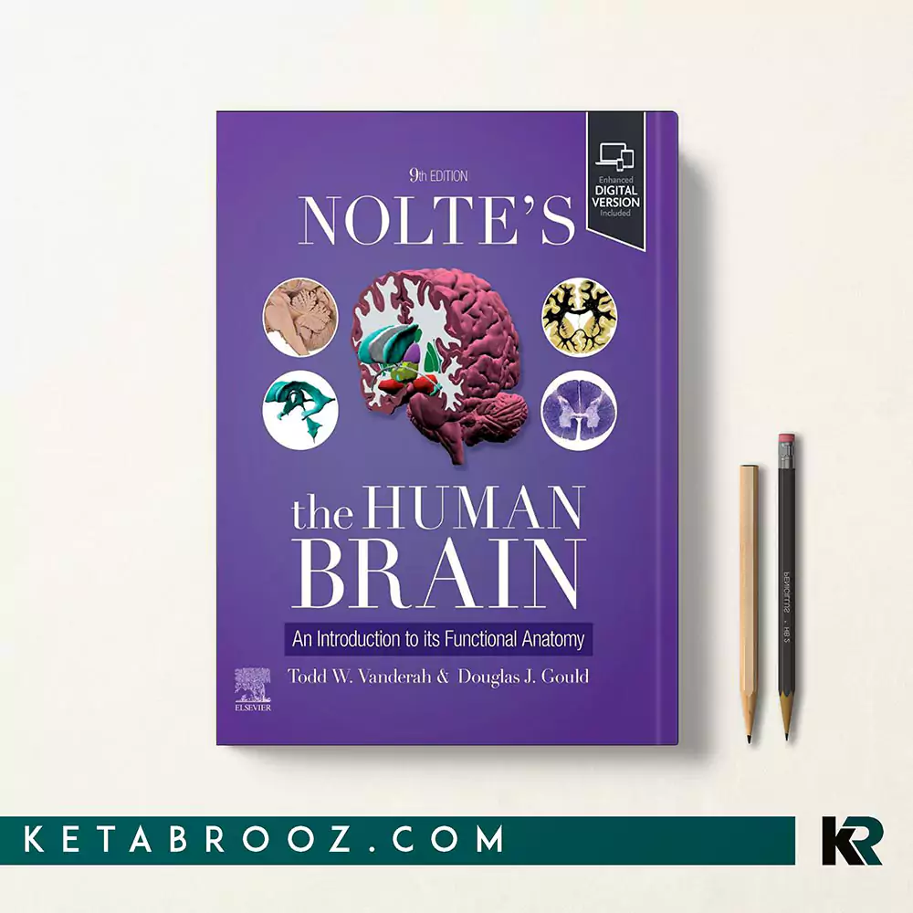 کتاب Nolte’s The Human Brain